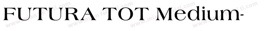 FUTURA TOT Medium字体转换